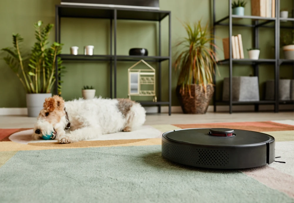 what is the best robotic vacuum cleaner to buy